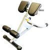 ETE Benches & GHDs 45 Degree Hyperextension IF45