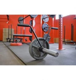 ETE T Shape Landmine Handle